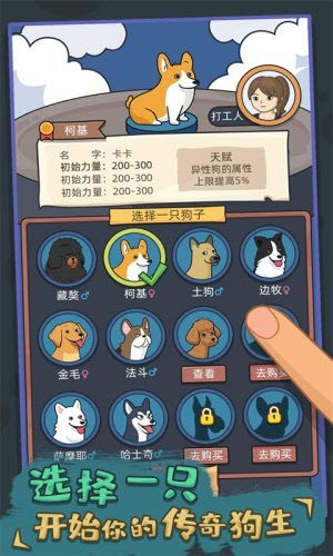 你好狗，好喜欢游戏正版