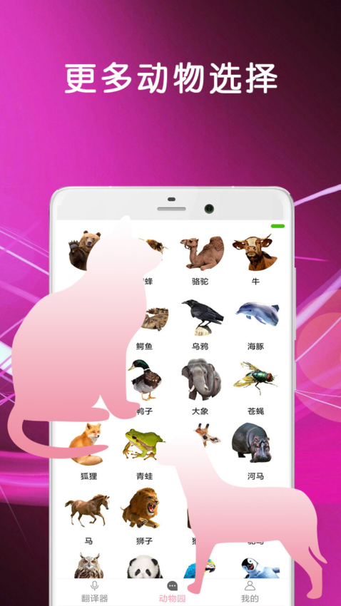 猫语翻译正版图3
