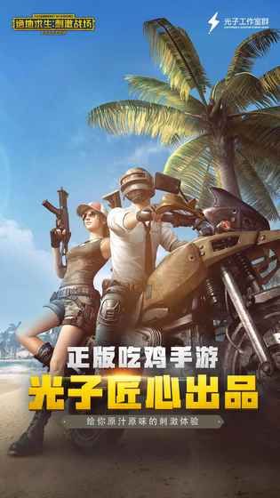pubg游戏绿色版图2