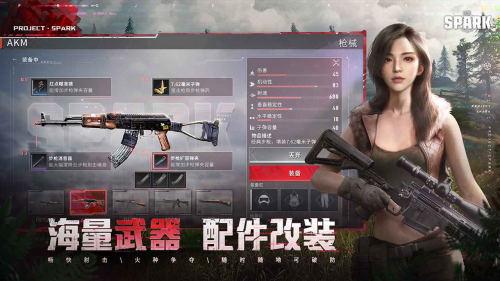 代号Spark游戏无广告版图3
