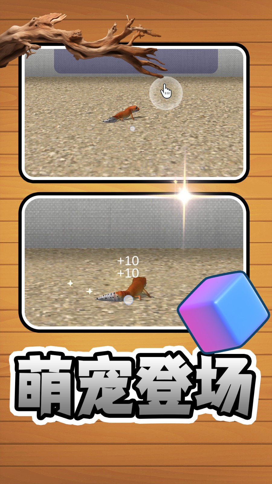 萌宠成长日记