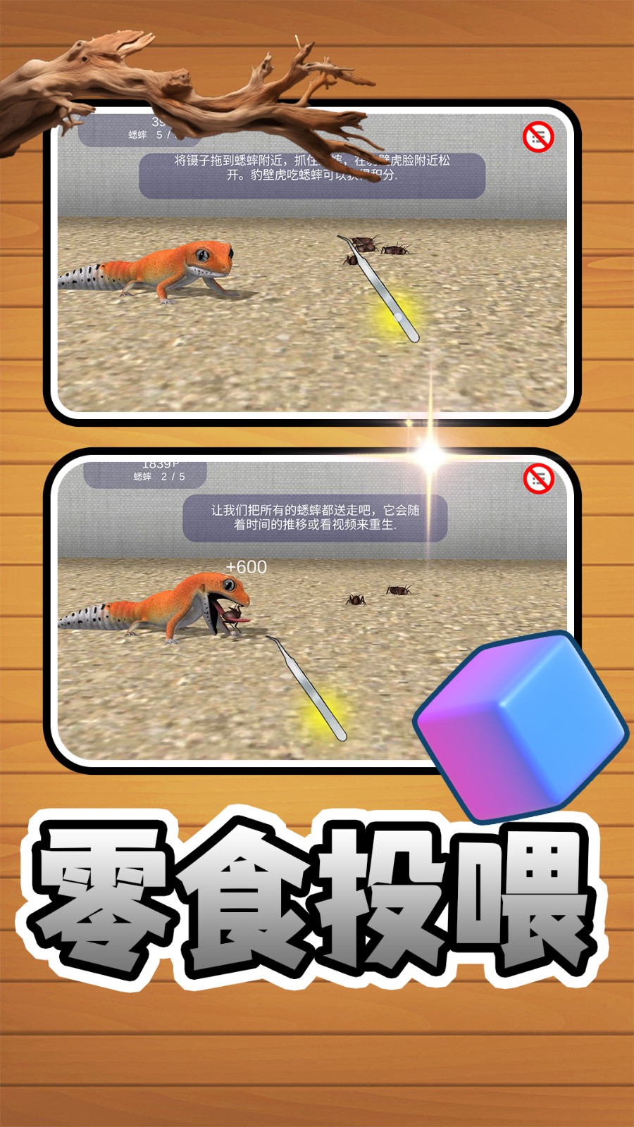 萌宠成长日记
