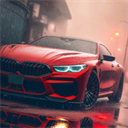 DrivingSchoolsim游戏绿色版