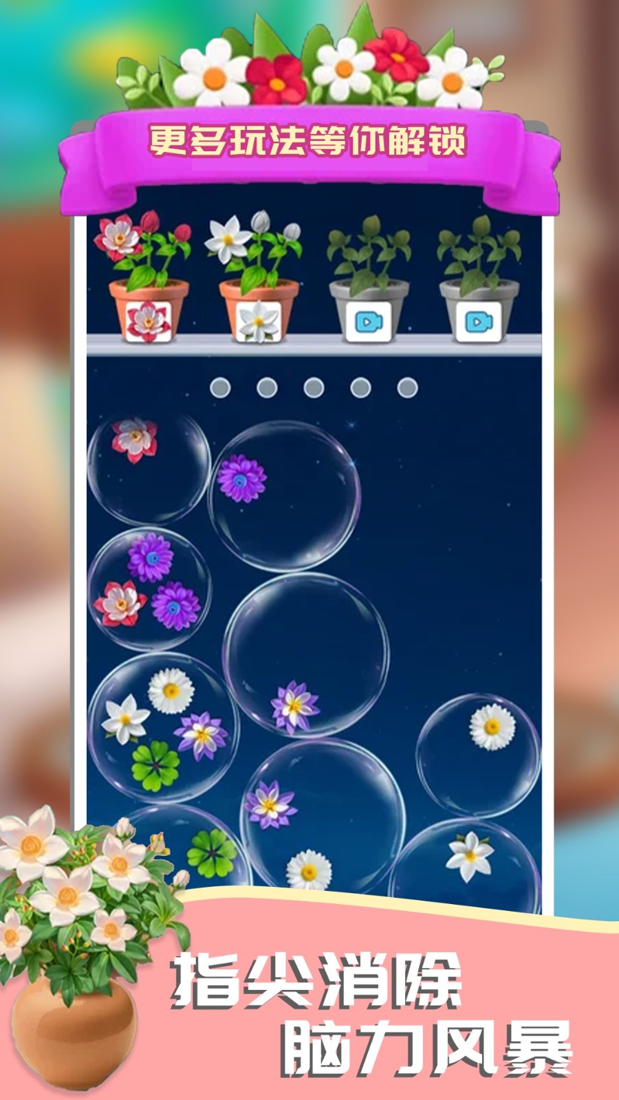 这花太棒了最新版