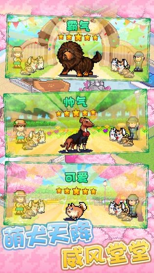 发现狗狗乐园游戏纯净版图4