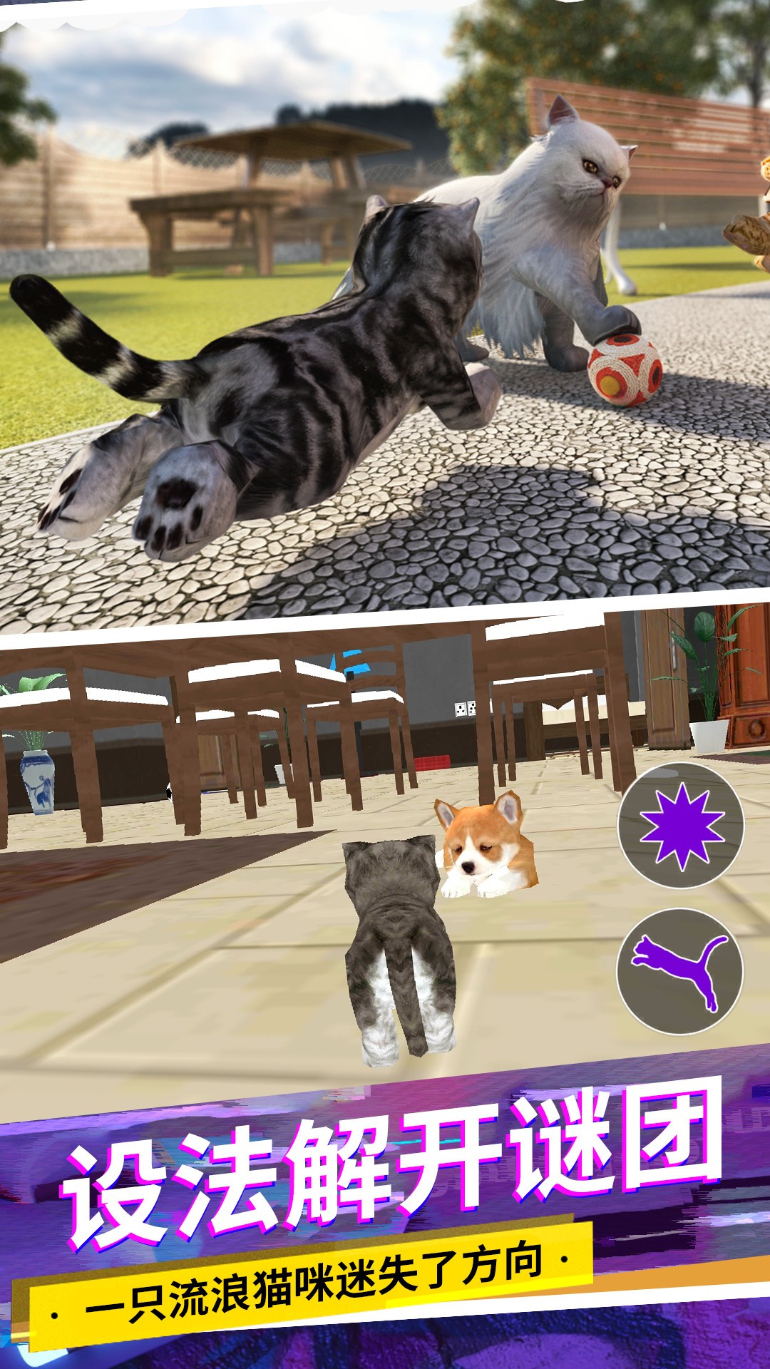 猫咪城市模拟直装版