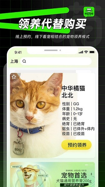 附近有喵直装版