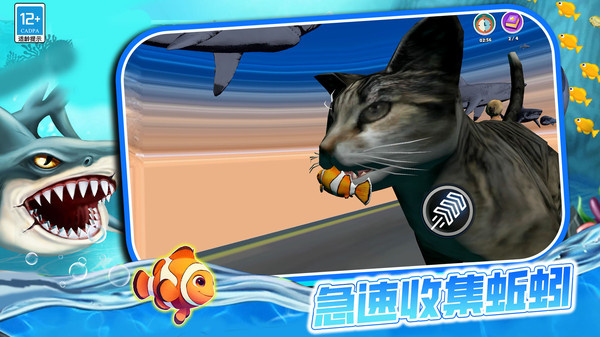 这一关稳赢手机版