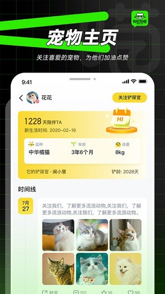 附近有喵直装版