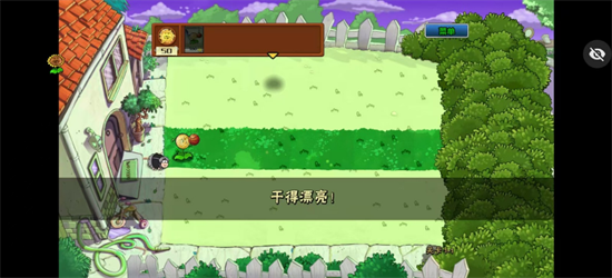 植物大战僵尸ikun版(4)