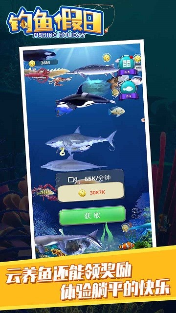 钓鱼假日最新版图3