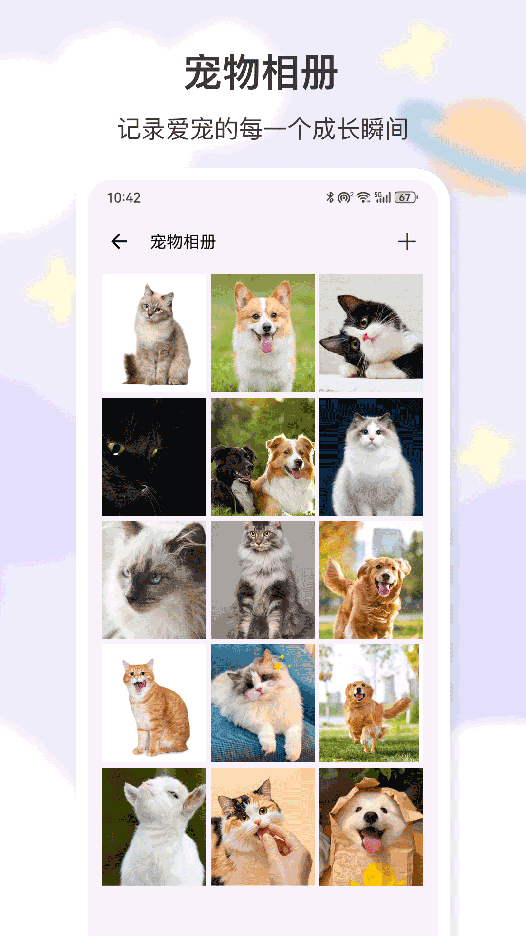 猫叫手机免费版图2