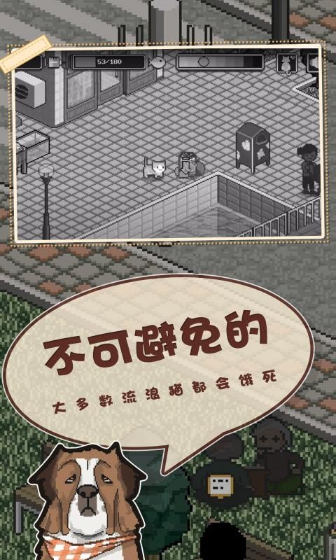 邦戈猫手机最新版