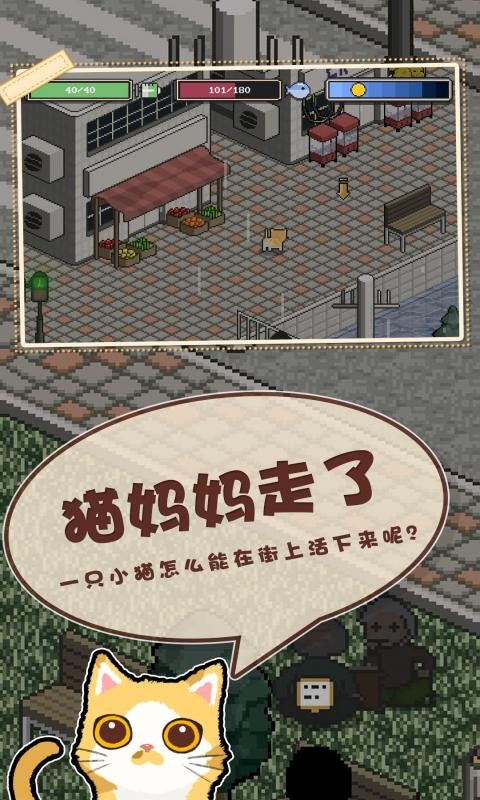 邦戈猫手机最新版
