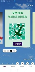 马赛克编辑器专业版图2