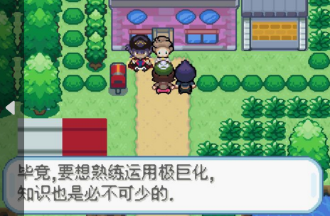 口袋妖怪剑盾手游直装版