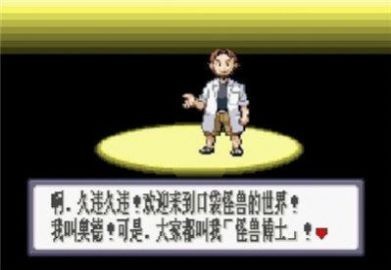 口袋妖怪蓝宝石汉化版图1