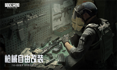 暗区突围国际体验服游戏完整版(3)