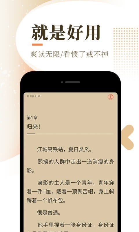 泰山小说直装版
