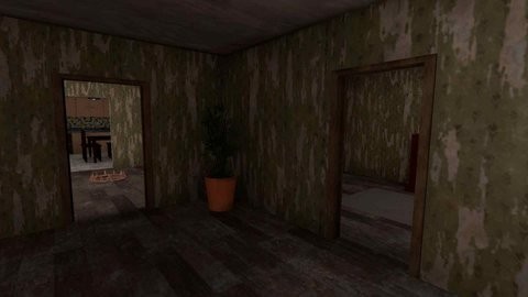 疯狂妻子免费原版