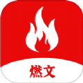 燃文小说阅读器原版
