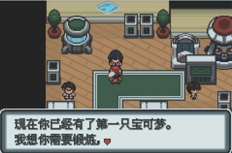 nds口袋妖怪白金汉化版-图4