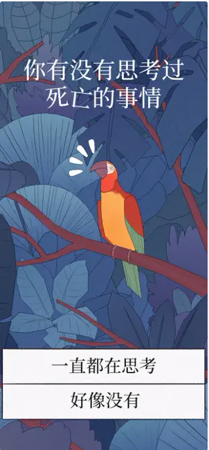 BirdAlone免费原版图3