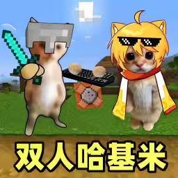 双人对战2通用版
