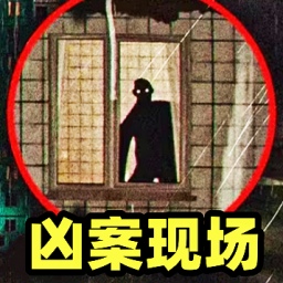目击凶杀案手游直装版