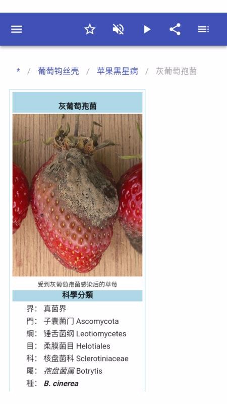 植物病害最新版