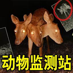 恐怖动物园探险手机正版