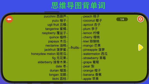 河马背单词安卓直装版图3
