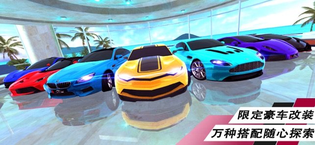 夺冠赛车手最新版图5
