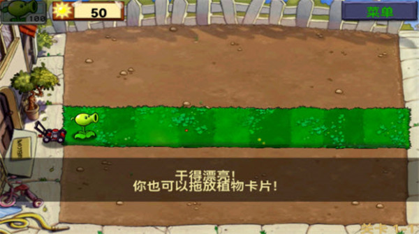 植物大战僵尸1汉化游戏无广告版图1