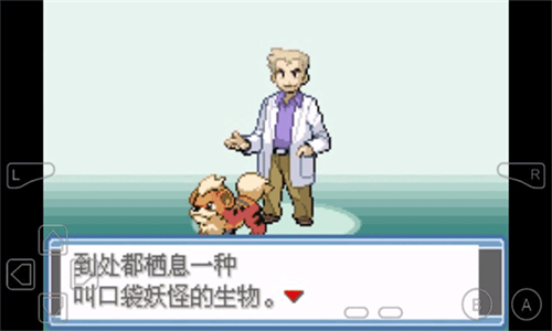 口袋妖怪永恒之焱XYZ神兽版(1)