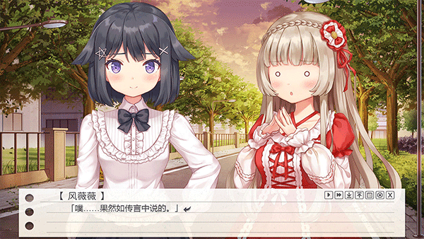 纸片人女友正版(2)