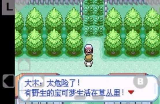 口袋妖怪火红直装游戏版