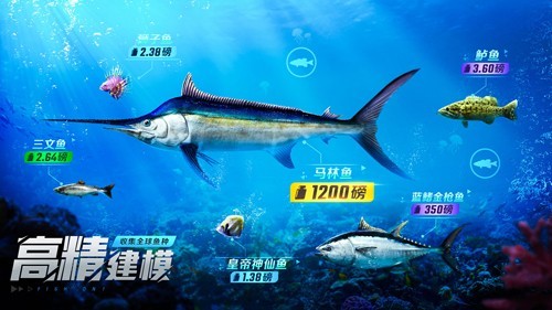 欢乐钓鱼大师直装版图2
