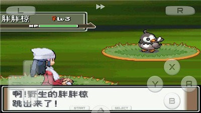 nds口袋妖怪白金汉化版-图1