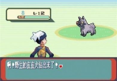 口袋妖怪蓝宝石汉化版图2
