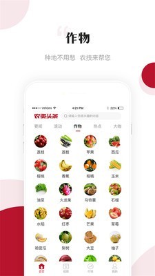 农资头条正版图3