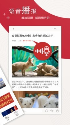 新时报直装版