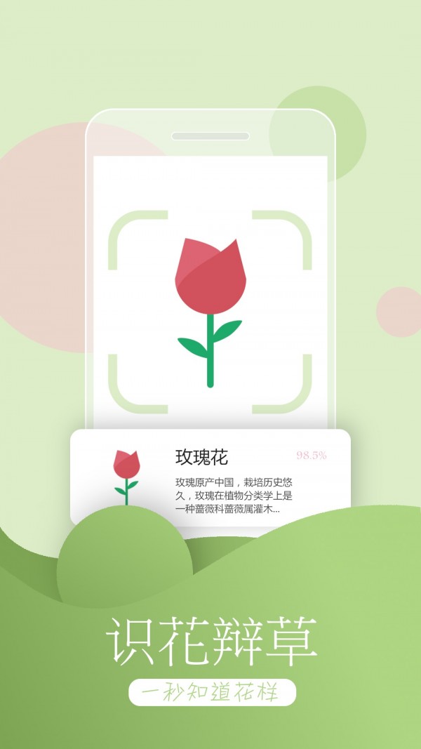 万能拍照识物图2