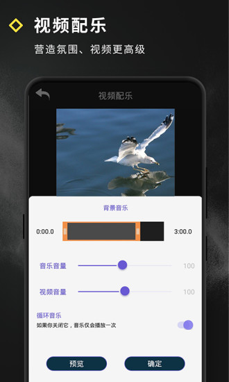 Video Effect通用版图4