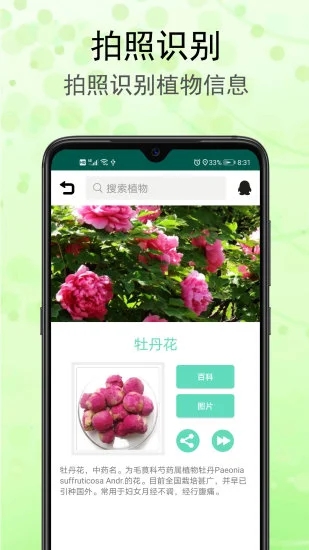 识花草安卓版(1)