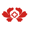 健康洛阳安卓免费版