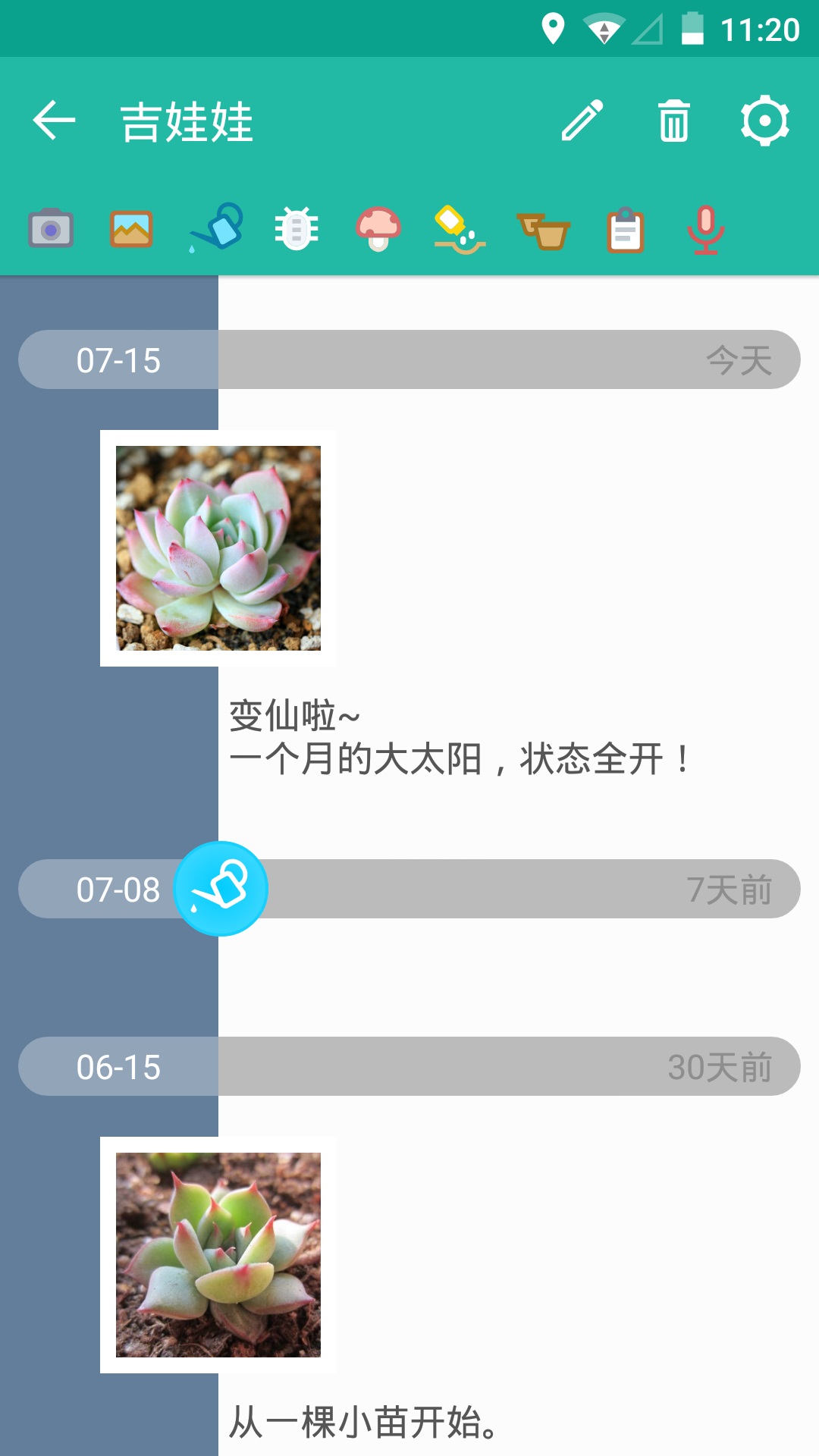 多肉成长记官方正版(2)