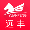 船家惠直装版
