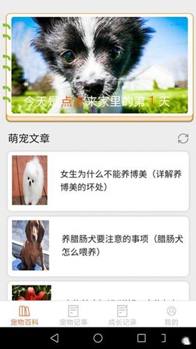 宠物点点通用版