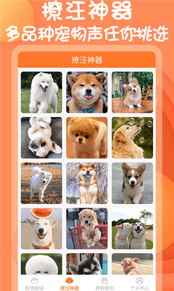 小铃铛狗语翻译器手机版(2)